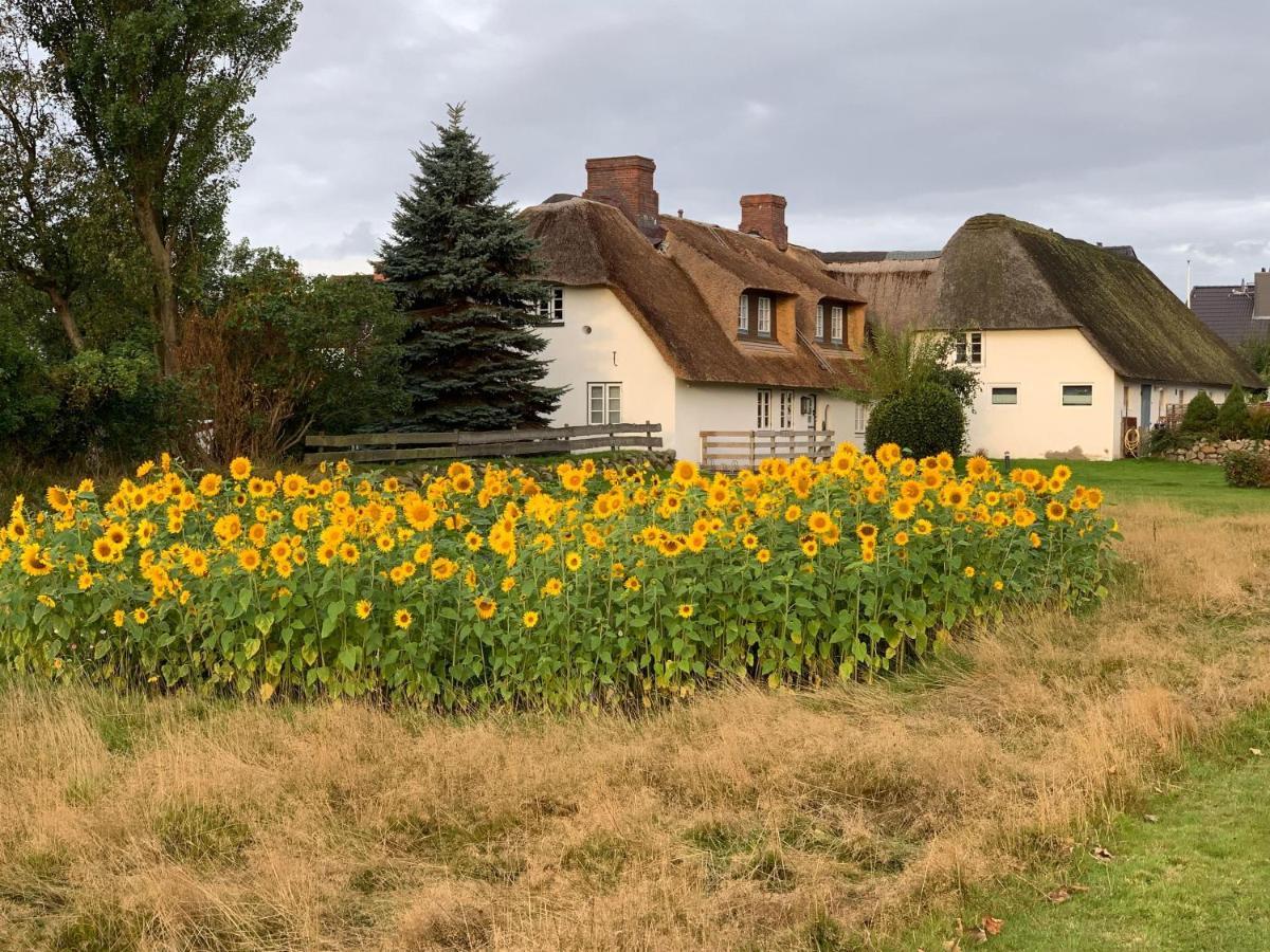 Hansen-Hof-Wohnung-3 Sylt エクステリア 写真